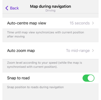 Map screen during navigation