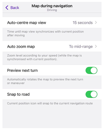Map screen during navigation
