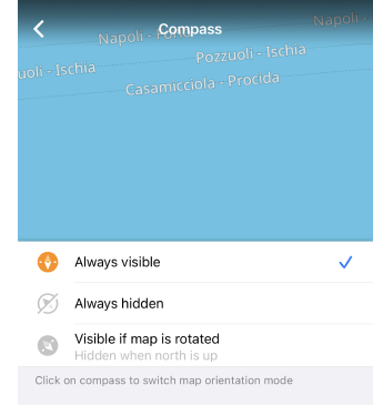 Kompass-Widget