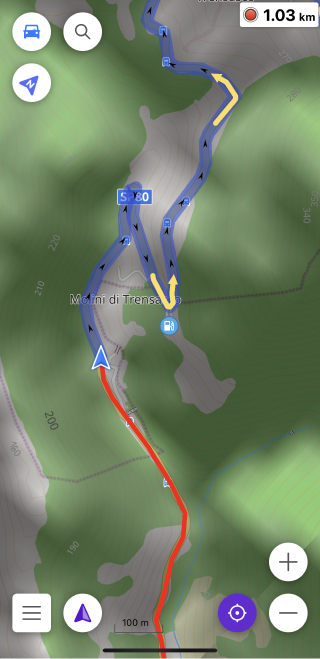 Aufgezeichnete Route in iOS
