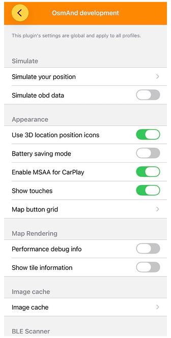 Ustawienia deweloperskie iOS